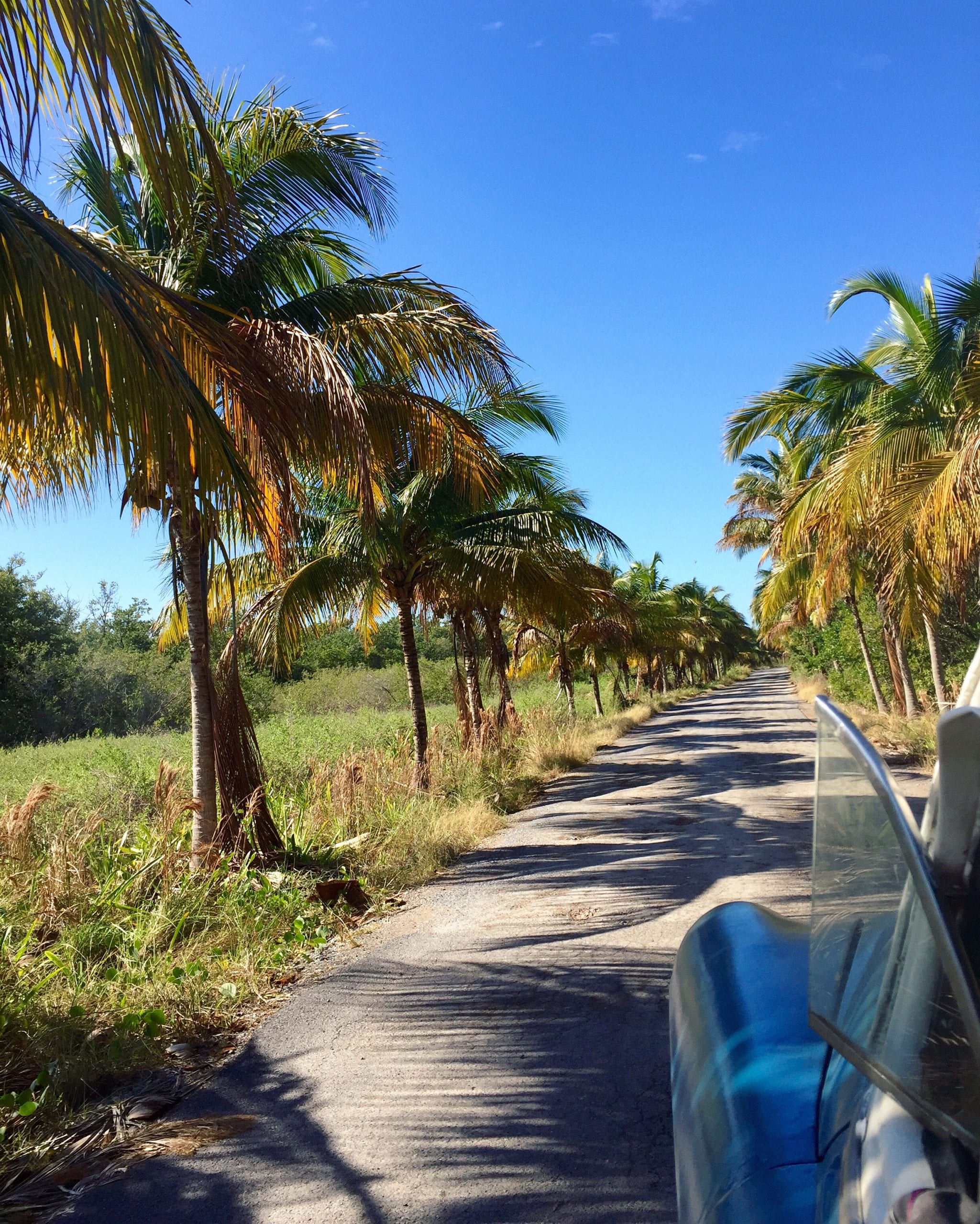 Kuba Reisetipps Cayo Jutia Vinales Reisebericht Rundreise