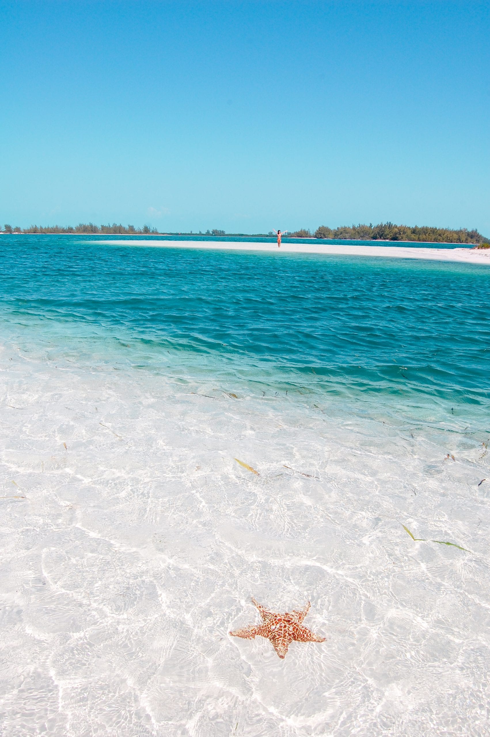 Cayo Largo del Sur Blog