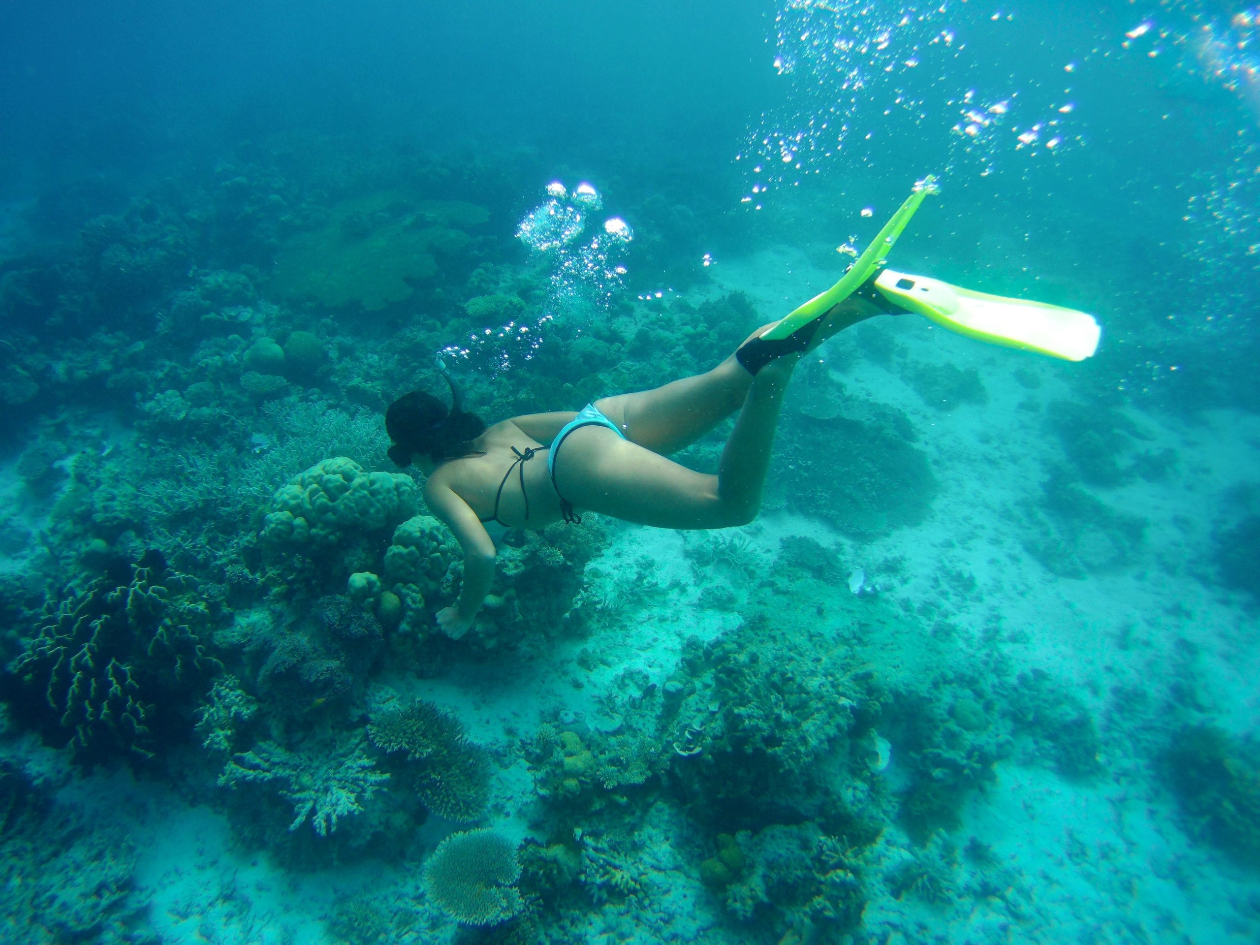 Coron Philippinen Tauchen