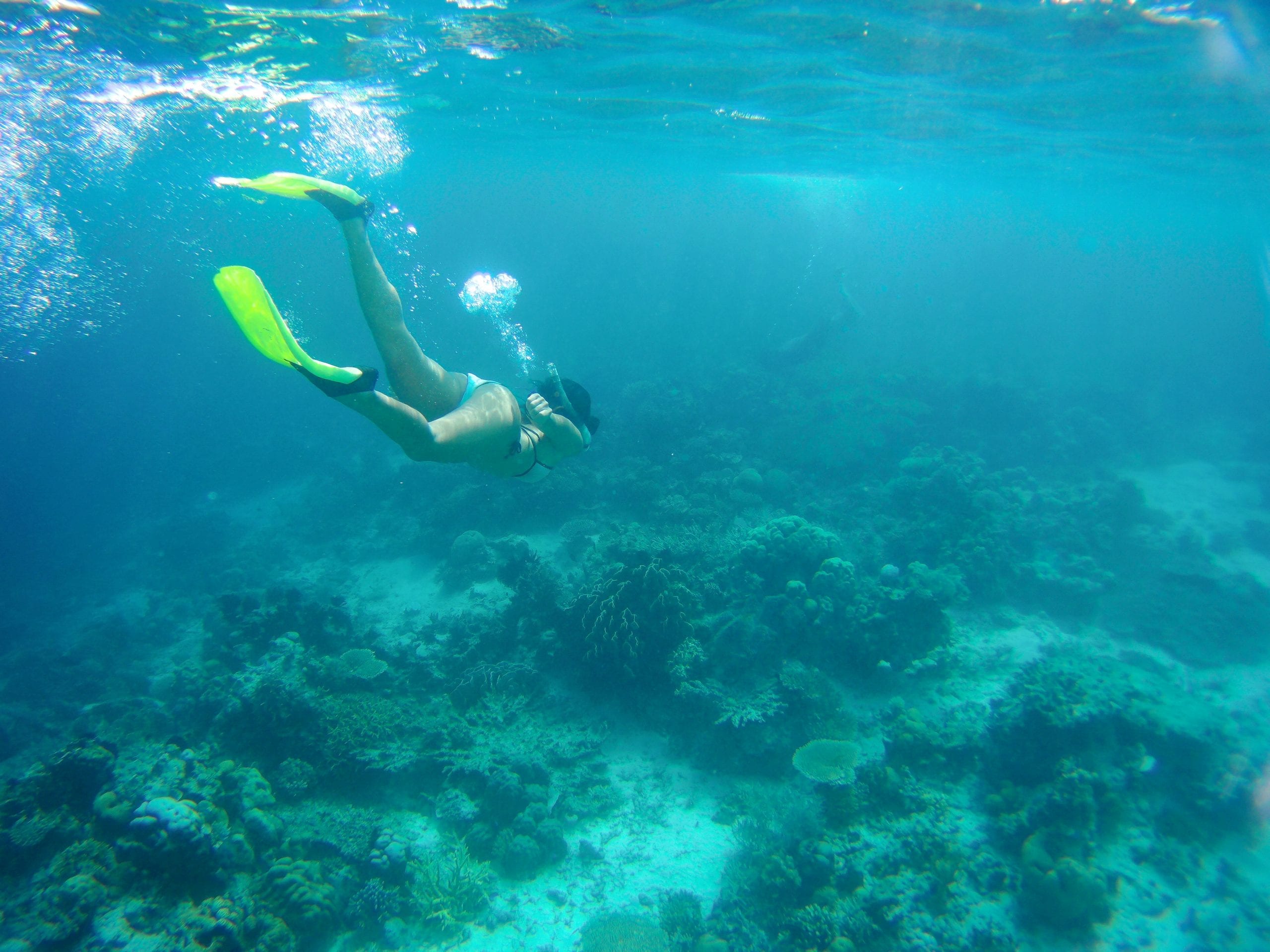 Palawan Empfehlungen Coron Unterwasserwelt