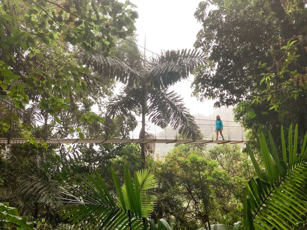 Costa Rica Reisetipps: Quick Guide & 3-wöchige Route mit&nbsp;Baby